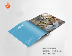 膠裝畫冊(cè)